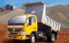 Eicher Dump Truck 1080